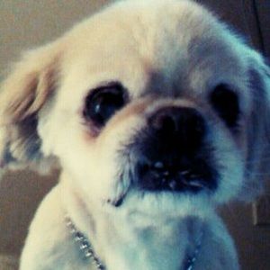 Meet your Posher, Karen